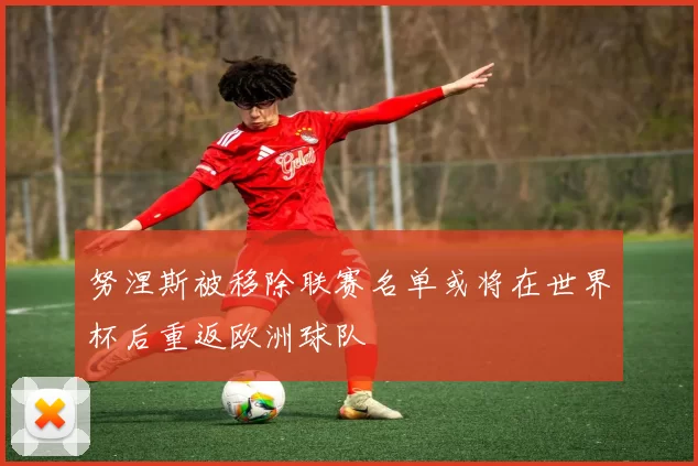 努涅斯被移除联赛名单或将在世界杯后重返欧洲球队