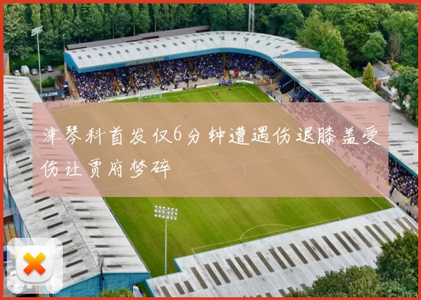 津琴科首发仅6分钟遭遇伤退膝盖受伤让贾府梦碎